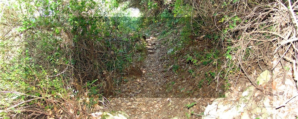 karaoulanis_ecotourism_10