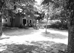 DSC06088